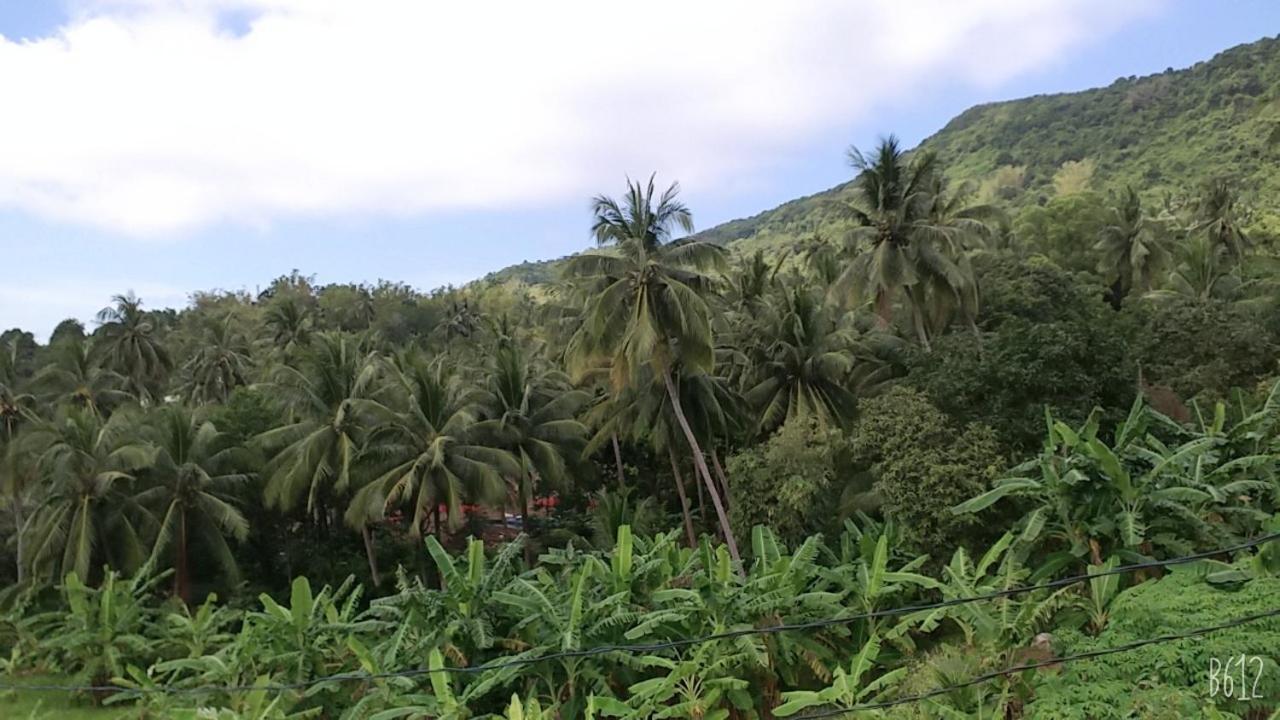 Homestay View Doi Hon Son Lai Son Exterior photo
